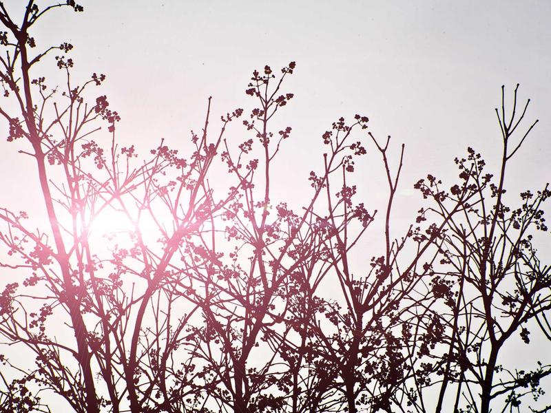 sudoku swordfish screenshot 6