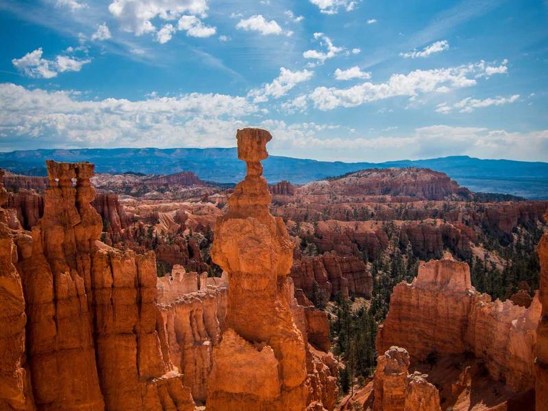 sudoku swordfish screenshot 3